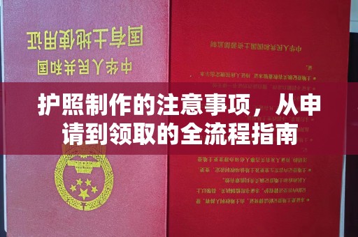 北屯护照制作的注意事项，从申请到领取的全流程指南